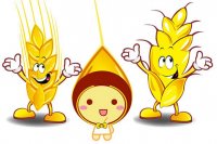 داستان خوشه گندم