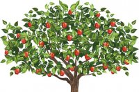 داستان درخت سیب طلایی