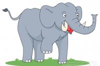 داستان فیل کوچولو